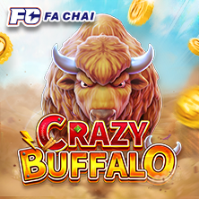 CRAZY BUFFALO